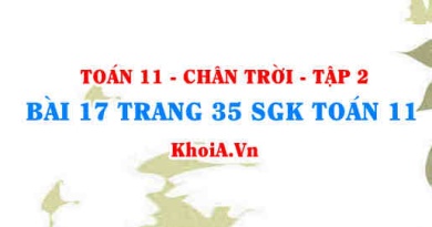 Bài 17 trang 35 Toán 11 Tập 2 Chân trời sáng tạo